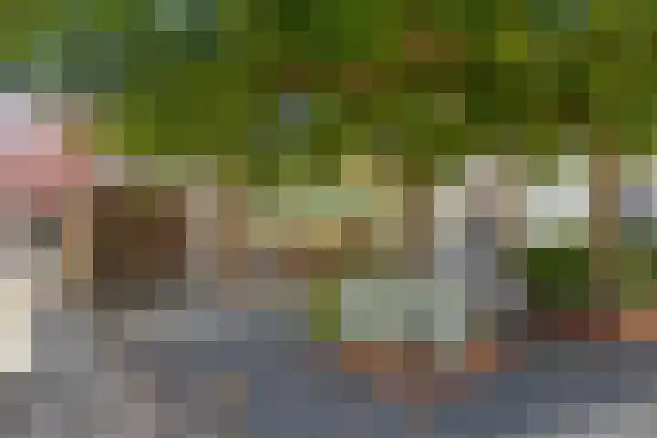Worp Tjaardastraat 77 Sneek thumbnail 42
