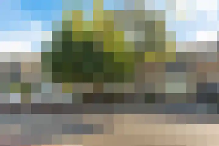 Worp Tjaardastraat 77 Sneek thumbnail 43