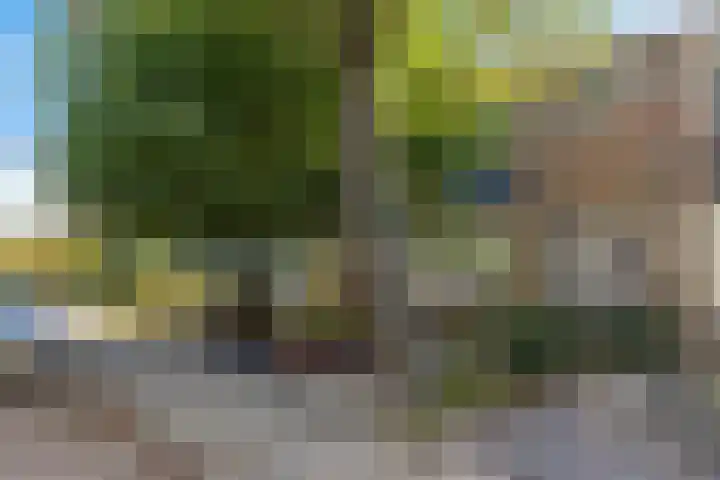 Worp Tjaardastraat 77 Sneek thumbnail 45