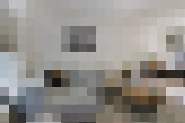 Worp Tjaardastraat 77 Sneek thumbnail 8