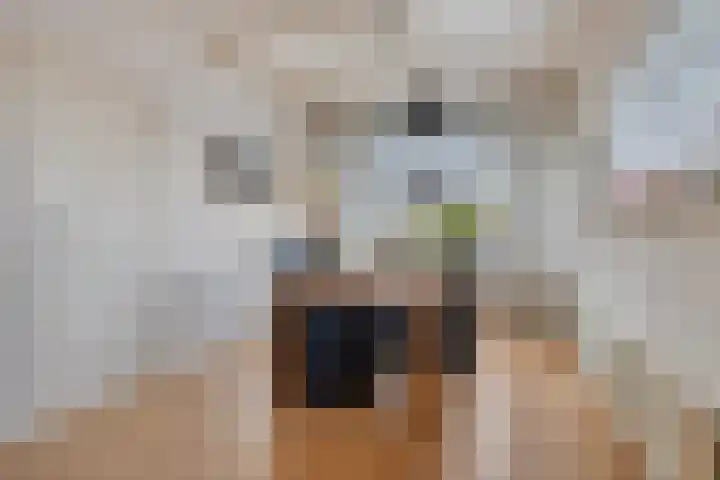 Worpstrjitte 9 Ysbrechtum thumbnail 10