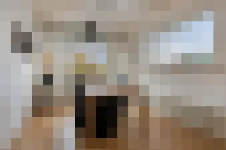 Worpstrjitte 9 Ysbrechtum thumbnail 11
