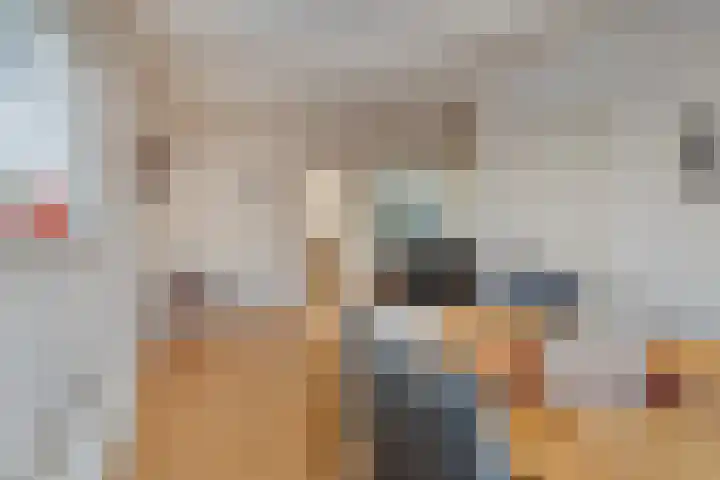 Worpstrjitte 9 Ysbrechtum thumbnail 12