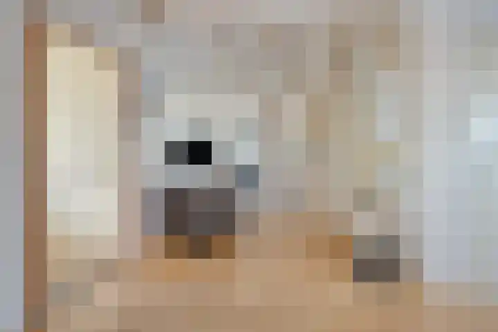Worpstrjitte 9 Ysbrechtum thumbnail 13