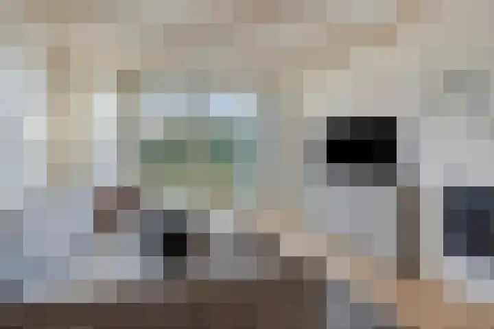 Worpstrjitte 9 Ysbrechtum thumbnail 14