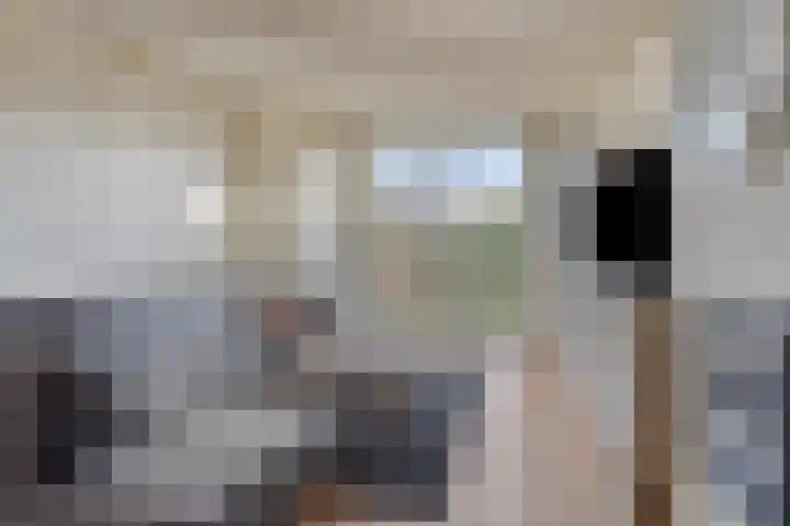 Worpstrjitte 9 Ysbrechtum thumbnail 15