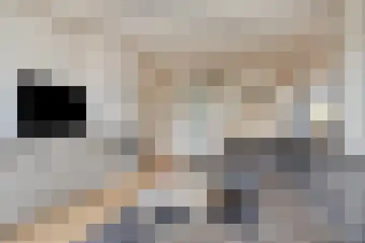 Worpstrjitte 9 Ysbrechtum thumbnail 17