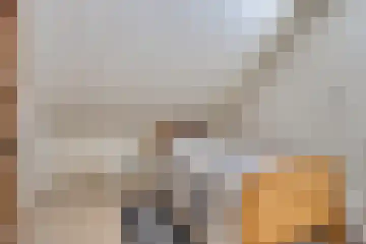 Worpstrjitte 9 Ysbrechtum thumbnail 27