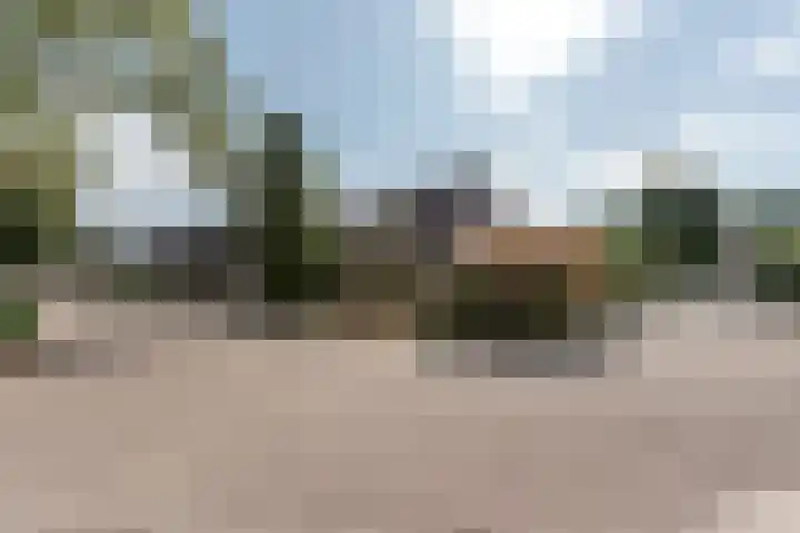 Wortelakker 2 Wezep thumbnail 10