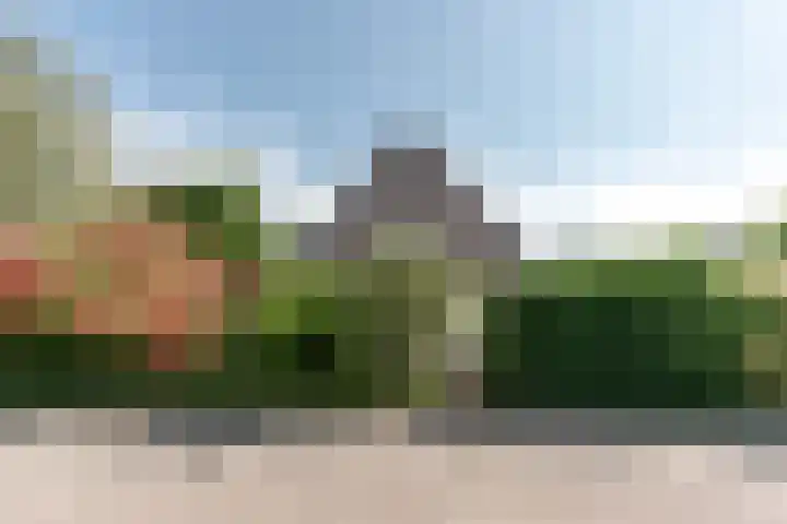 Wortelakker 2 Wezep thumbnail 12