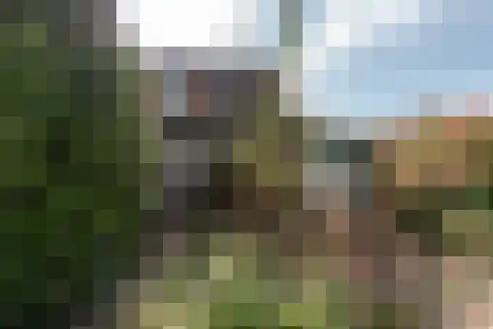 Wortelakker 2 Wezep thumbnail 17