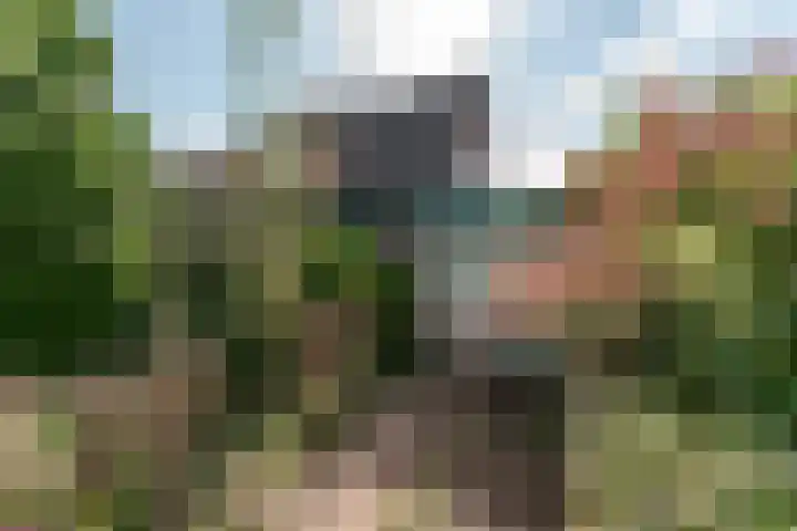 Wortelakker 2 Wezep thumbnail 19