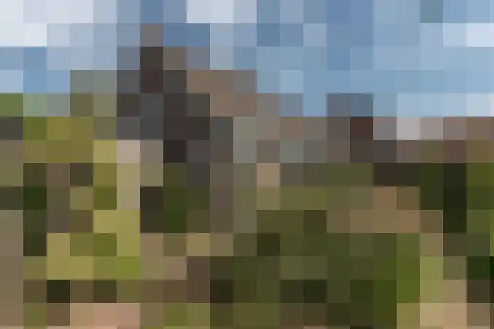 Wortelakker 2 Wezep foto 2