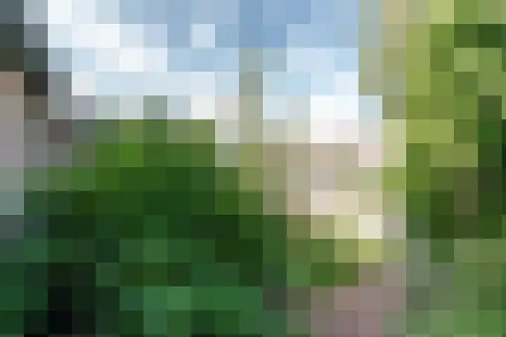 Wortelakker 2 Wezep thumbnail 21