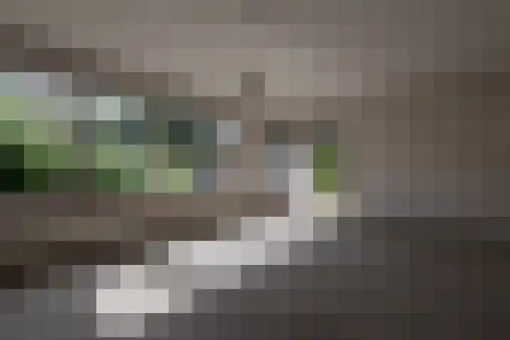 Wortelakker 2 Wezep thumbnail 32