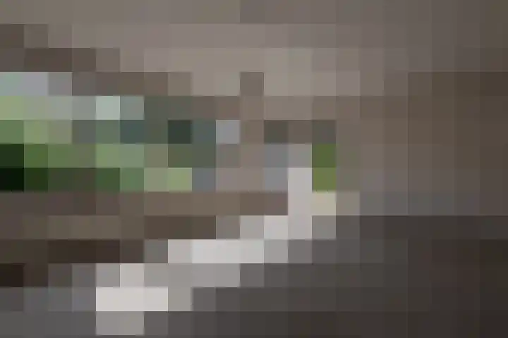 Wortelakker 2 Wezep thumbnail 5