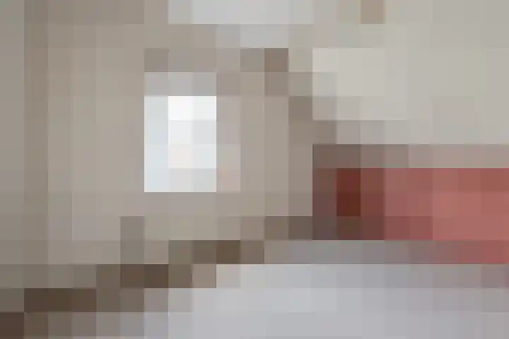 Wortelakker 2 Wezep thumbnail 54