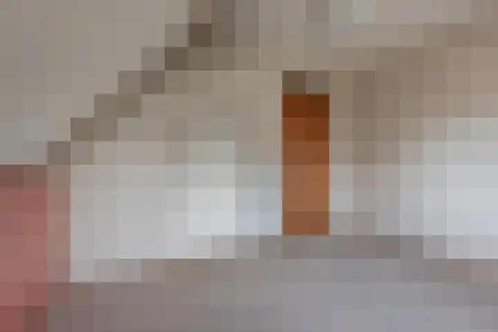 Wortelakker 2 Wezep thumbnail 57