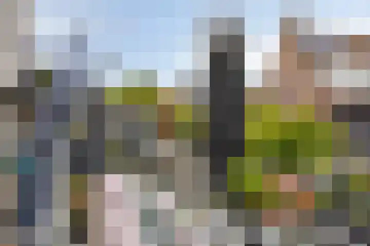 Wortelakker 2 Wezep thumbnail 66
