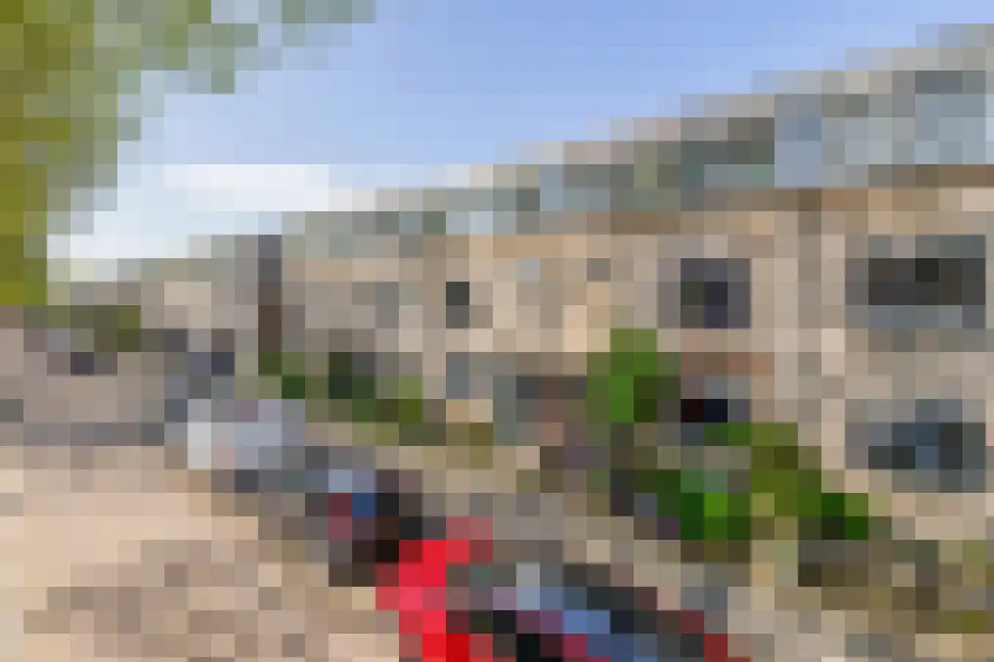 Wortelakker 2 Wezep thumbnail 70