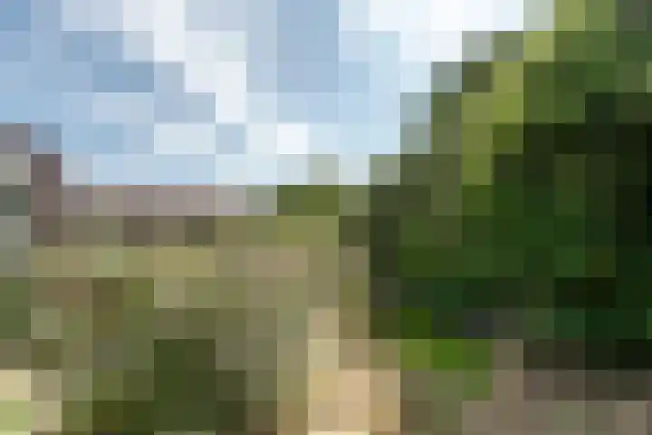 Wortelakker 2 Wezep thumbnail 71