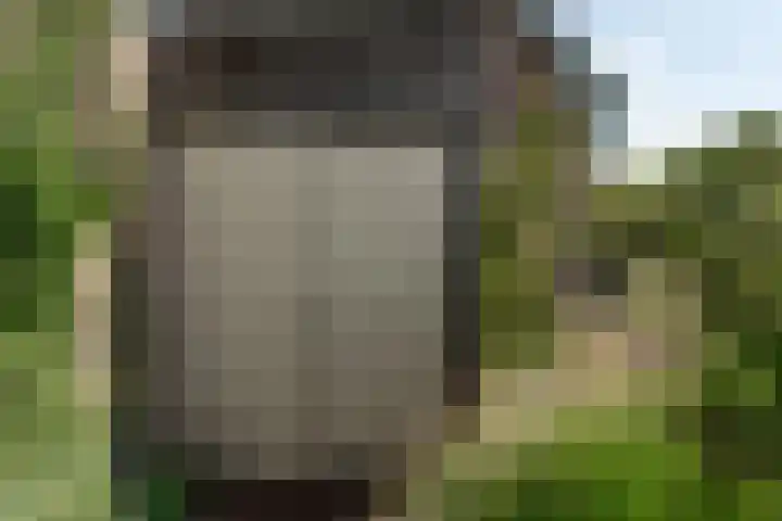 Wortelakker 2 Wezep thumbnail 73
