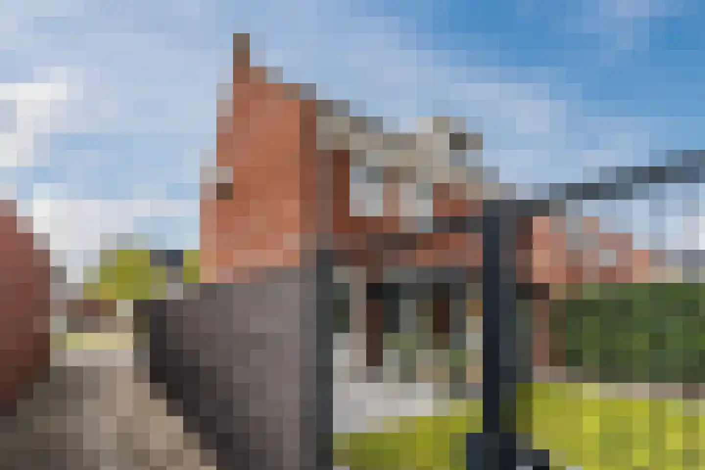 Wortelakker 2 Wezep thumbnail 75