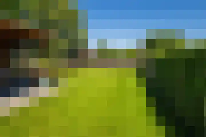 Wortelakker 2 Wezep thumbnail 76