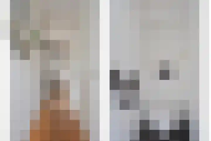 Wortelboerstraat 53 Emmer-Compascuum foto 2