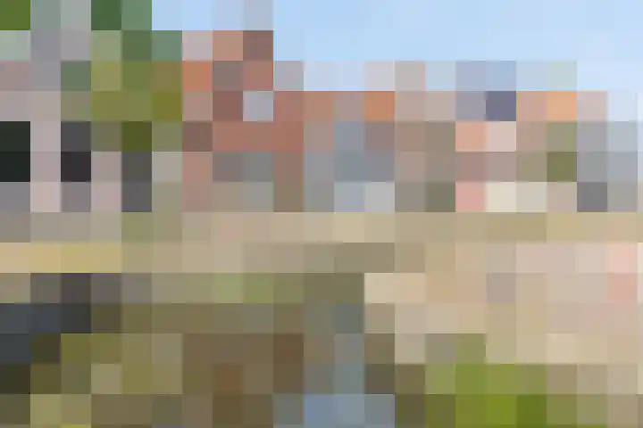 Wortelhaven 10 Dokkum thumbnail 4