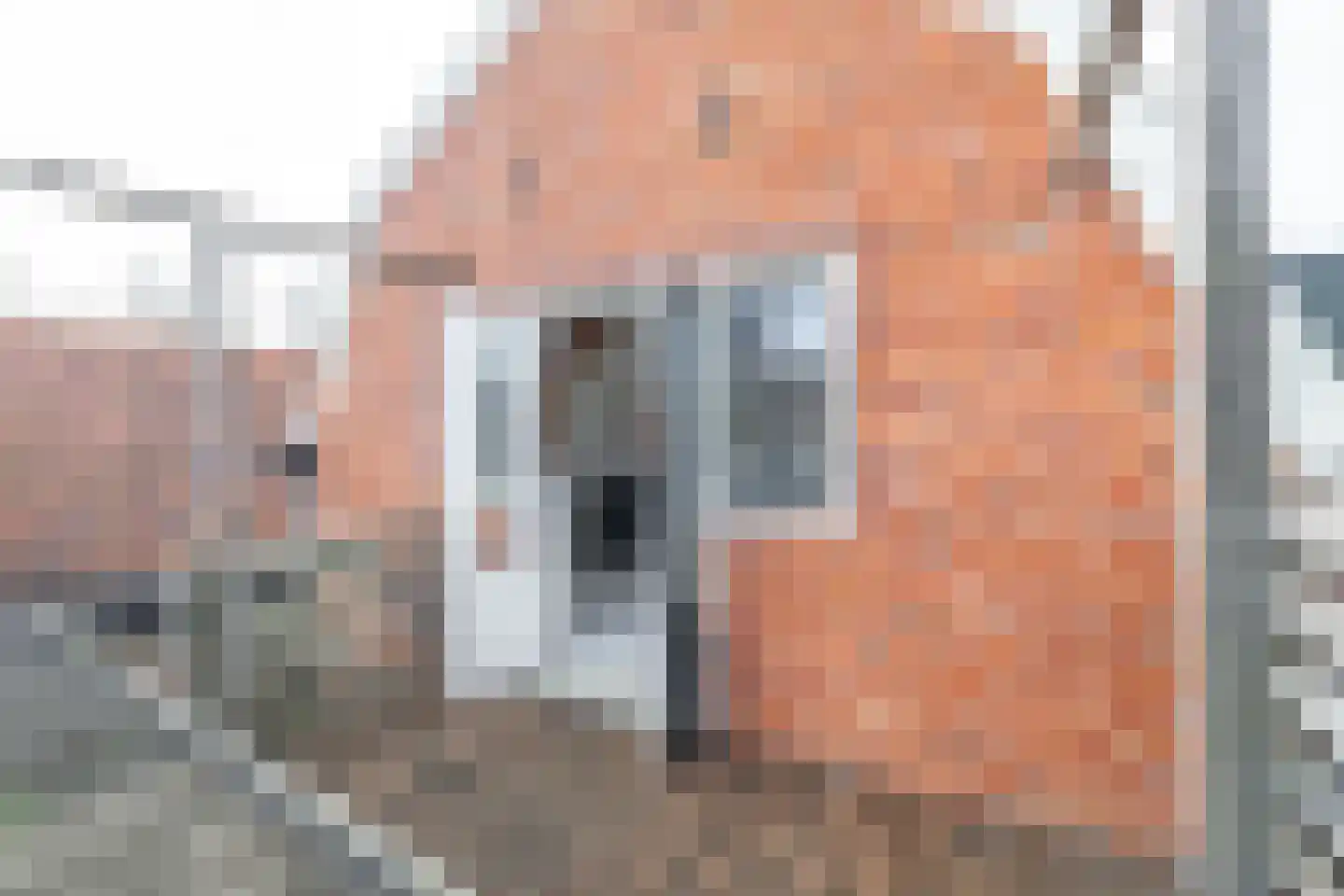 Wortelhaven 3 Dokkum thumbnail 40