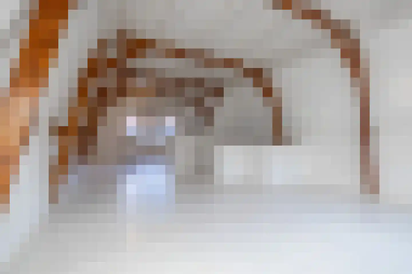 Wortelhaven 3 Dokkum thumbnail 9