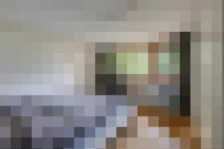 Worth Rhedenseweg 17 Rheden thumbnail 13