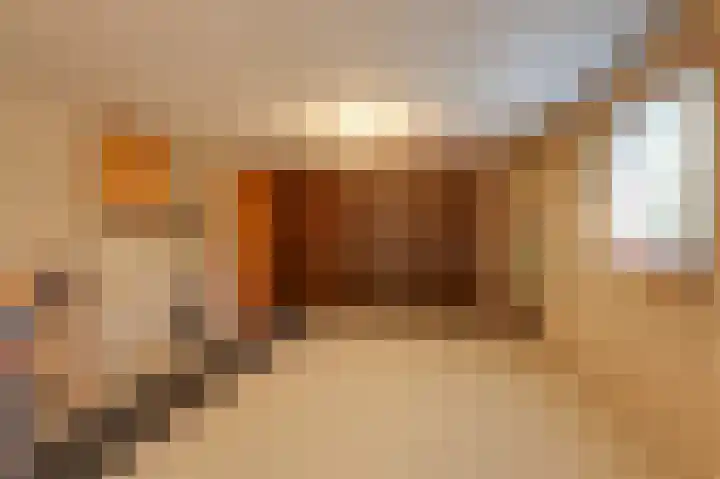 Worth Rhedenseweg 17 Rheden thumbnail 17
