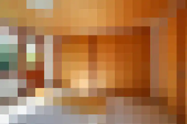 Worth Rhedenseweg 17 Rheden thumbnail 21