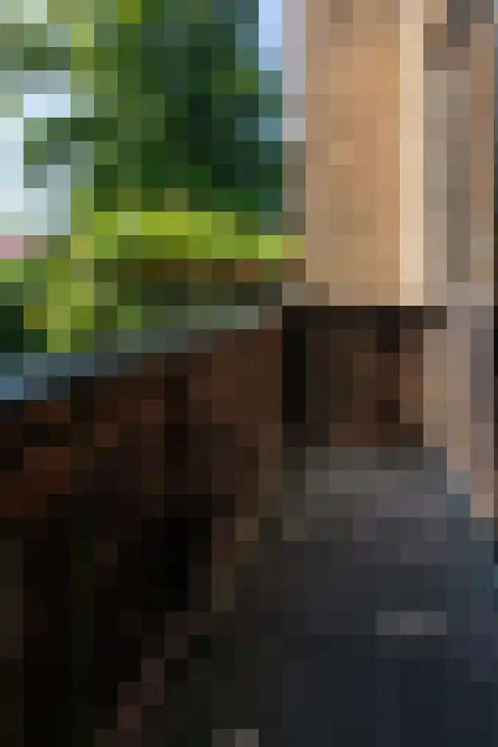 Worth Rhedenseweg 17 Rheden thumbnail 22