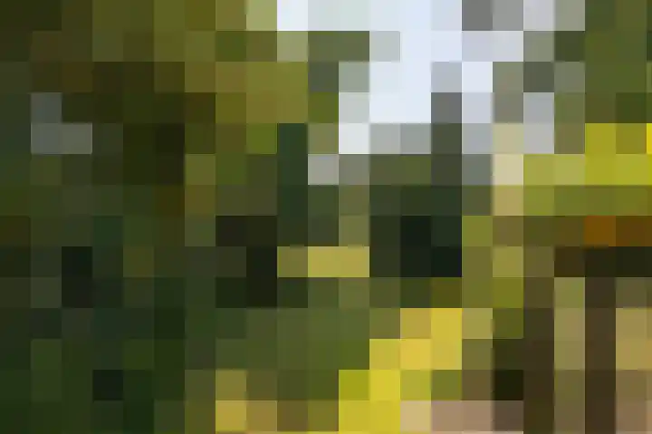Worth Rhedenseweg 17 Rheden thumbnail 23