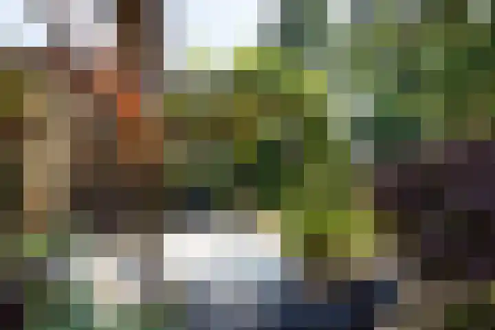 Worth Rhedenseweg 17 Rheden thumbnail 31