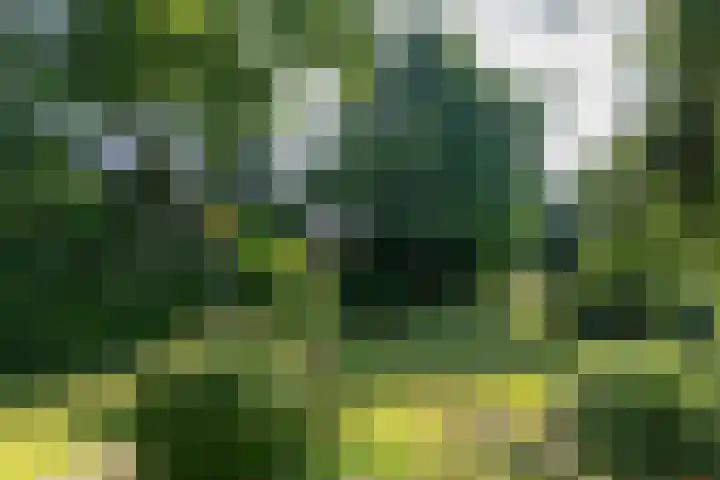 Worth Rhedenseweg 17 Rheden thumbnail 32