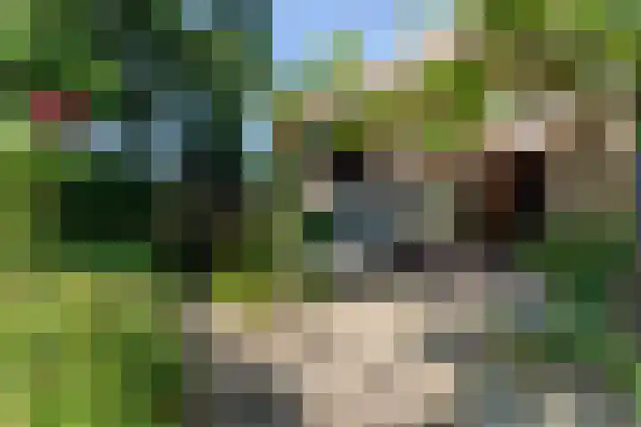Worth Rhedenseweg 17 Rheden thumbnail 33