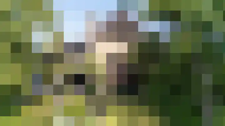 Worth Rhedenseweg 17 Rheden thumbnail 34