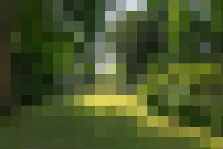 Worth Rhedenseweg 17 Rheden thumbnail 35
