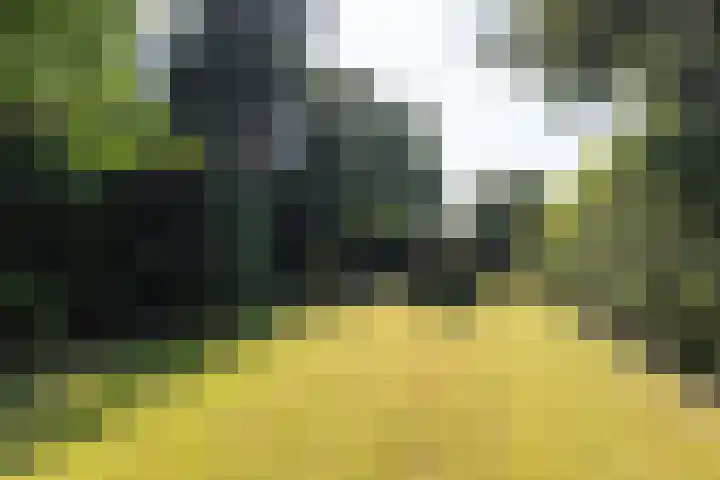 Worth Rhedenseweg 17 Rheden thumbnail 36
