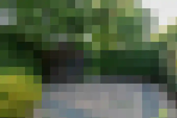 Worth Rhedenseweg 17 Rheden thumbnail 37