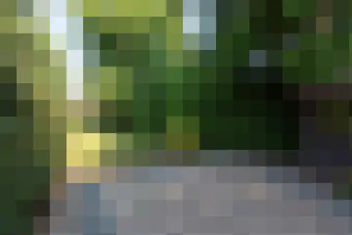 Worth Rhedenseweg 17 Rheden thumbnail 38
