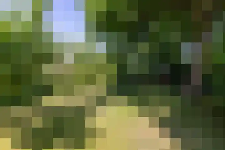 Worth Rhedenseweg 17 Rheden thumbnail 39
