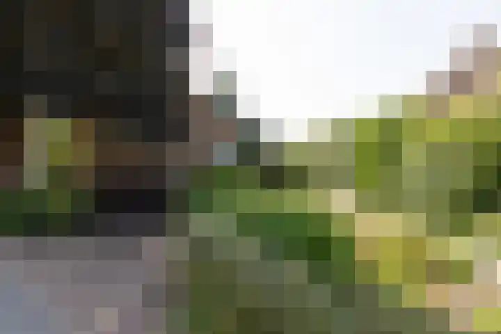 Worth Rhedenseweg 17 Rheden thumbnail 4