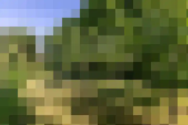 Worth Rhedenseweg 17 Rheden thumbnail 40