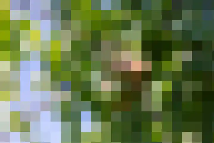 Worth Rhedenseweg 17 Rheden thumbnail 41