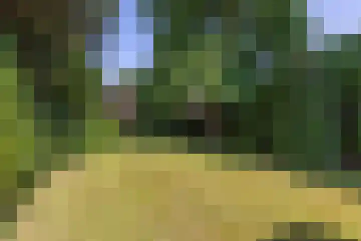 Worth Rhedenseweg 17 Rheden thumbnail 42